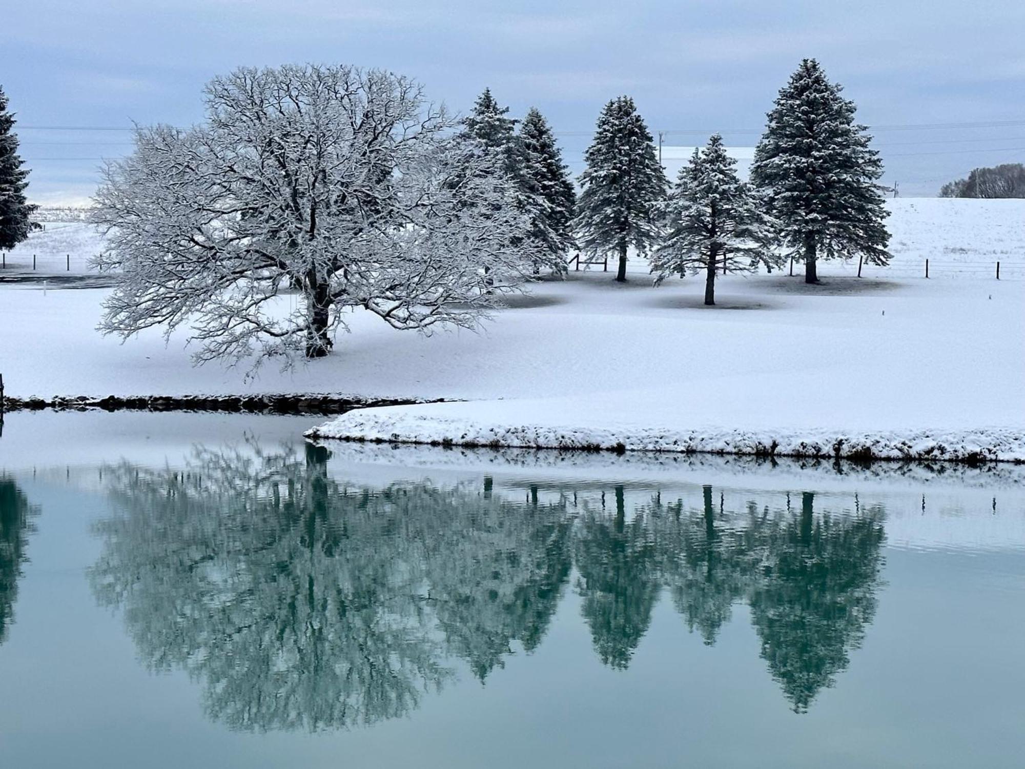 Pinehaven Country Inn Baraboo Luaran gambar